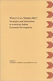 What Can Tribes Do? : Strategies and Institutions in American Indian Economic Development, , 0935626379