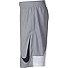 Nike Boys' Dry HBR Athletic Shorts