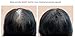 Boost N Blend Scalp Concealer, Hair Powder, Female Hair Fibers for Thinning Hair & Visible Scalp - Hair Volumizer for Women (25g/0.88oz) – The Only Female Cotton Hair Fiber
