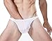 Avidlove Men Brief Breathable Ice Silk Triangle Underpants Solid Boxers Bikinis White, XXL