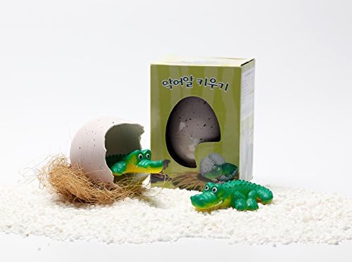 CODIA Hatching Growing Eggs Crocodile Jumbo Large