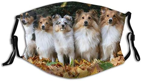 Washable mud face mask priced at $12.99.