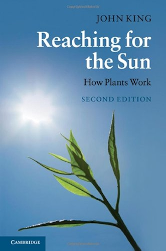 Download Reaching for the Sun: How Plants Work (English Edition) PDF