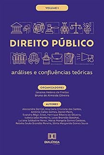 Livro Direito Público - análises e confluências teóricas: Volume 1