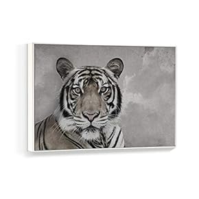 Framed Canvas Wall Art for Living Room, Bedroom Black and White Animal Canvas Prints for Home Decoration Ready to Hanging - 16x24 inches