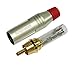 3 Foot RCA Cable Pair - Made with Canare L-4E6S, Star Quad, Audio Interconnect Cable and Amphenol ACPR Gold RCA Connectors – Directional Design - CUSTOM MADE By WORLDS BEST CABLES