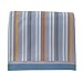 Bedtime Originals Two by Two Noah's Ark 3 Piece Crib Bedding Set, Blue/Gray