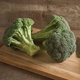 David's Garden Seeds Broccoli Green Magic D2813 (Green) 100 Hybrid Seeds