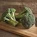 David's Garden Seeds Broccoli Green Magic SL2813 (Green) 100 Non-GMO, Hybrid Seeds