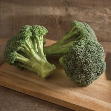 David's Garden Seeds Broccoli Green Magic D2813 (Green) 100 Hybrid Seeds David's Garden Seeds Broccoli Green Magic D2813 (Green) 100 Hybrid Seeds