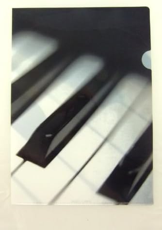 FunMusicOnlineBlack and White Piano Keys Design A4 Plastic Folder (1 Piece Only)