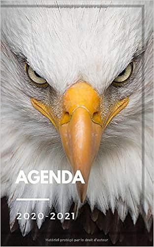 Agenda 21 Agenda Scolaire Journalier Aigle Oiseau Rapace Animal 292 Pages College Lycee Etudiant Jassinay Diane Amazon Fr Livres