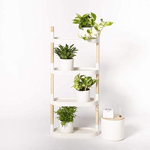 Citysens - Estantería para Plantas con riego automático, Blanca, 4 ...