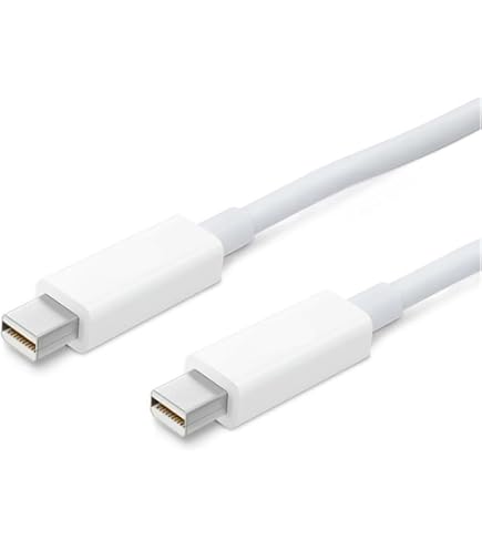 channels thunderbolt 6.5フィシュ CORNING-CCU6JPN050M20-2T.jpg