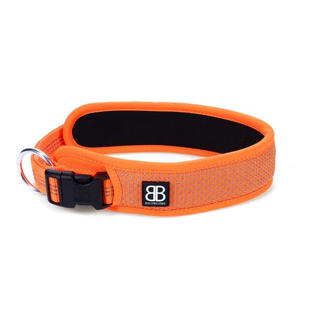 Active Light Cotton & Mesh Dog Collar, Lightweight and Adjustable, Comfortable for Dogs | Orange | Medium