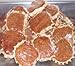 Jamaican Gizzarda Pastry (Pack of 6)