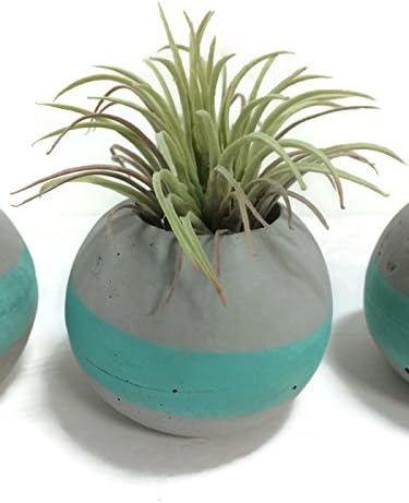ORB Concrete Succulent Planters. (Set of 3) Sea Glass Turquoise.