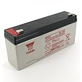 Yuasa NP3-6 6V/3Ah Sealed Lead Acid Battery with F1 Terminal