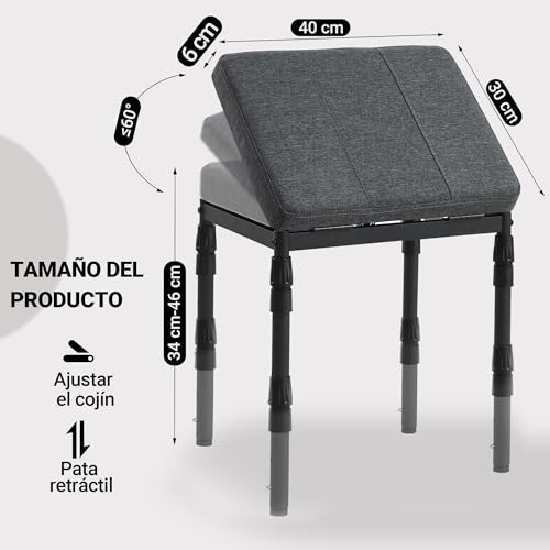 TIOPGHAD Reposapiés Ajustable para Debajo del Escritorio, Otomana Ergonómica con 4 Alturas e Inclinación de 60°, Taburete de Apoyo para Pantorrillas para Oficina y Hogar, Gris Carbón