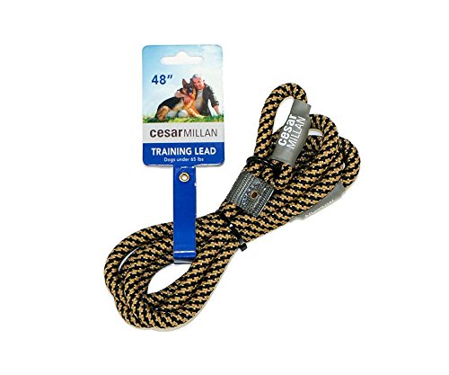 Cesar Millan Slip Lead Leash™ - Slip Collar Training Lead Gives You Greater Control and The Ability to Make Quick and Gentle Corrections (Regular, Black/Tan)