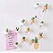 Fine 6Pcs Fridge Stickers,Cactus Refrigerator Stickers Green Plant Magnetic Buckle Magnetic Stickers Home Decoration Children Education Toys (Orange)