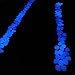 up2uBaby 100 pcs Glow in The Dark Garden Pebbles for Walkway Yard Decor and Outdoor Accessories (Blue)