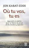 Où tu vas, tu es [ Wherever You Go, There You Are - French ] (Bien-être (7516)) (French Edition) by 