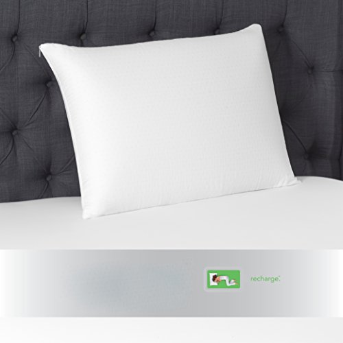 Beautyrest Latex Foam Pillow 100 Talalay Latex Pillows King