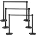 GO2BUY Black Stanchion Set, 6pcs 36.2 Inches H Stanchions Crowd Control Stanchion with 6.5 FT Retractable Belt