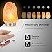 Levoit Aurora Salt Lamp, Himalayan / Hymilain Sea Salt Lamps, Pink Large Salt Rock Lamp, Night Light, 18/8 Stainless Steel Base, Dimmable Touch Switch, Luxury Gift Box (ETL Certified, 2 Extra Bulbs)