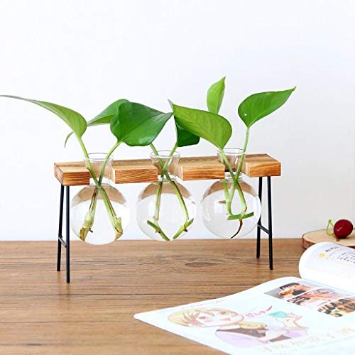 B Blesiya Wooden Shelf Plant Stand Ladder Storage Indoor Outdoor Garden Display Flower Pot Planter Supports Holder Rack 6cm - 3 Vase