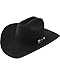 Stetson Skyline Hat, Color: Black, Size: 7 3/8 (SFSKYL-75400773)