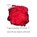 Swissco Mesh Body Sponge - 12 Pack
