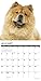 Just Chow Chows 2019 Wall Calendar (Dog Breed Calendar)