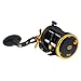 Penn Squall Level Wind Reel