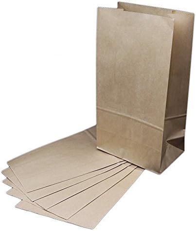 The Young 50 pcs 24X13.2X8 cm Brown Kraft Paper Gift Bags Brown Paper Bags (Small 50)