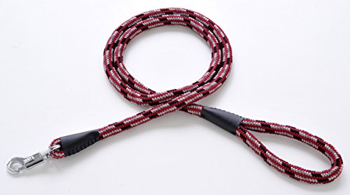 ペティオ (Petio) ベーシックプラス ネオンプラスリード レッド 中型犬用 15mm