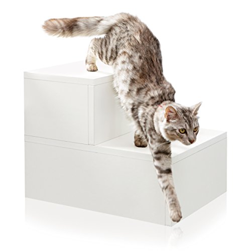 Way Basics Eco Friendly Step Pet Stairs (made from Nigeria Ubuy