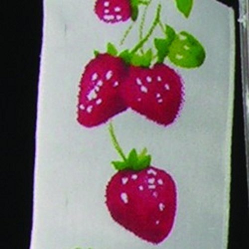 White, Red and Green Wired Taffeta Print Strawberry on the Vine Garden Craft Ribbon 1.5