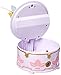 Disney Fairies Wendy's Music Box
