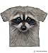 The Mountain Raccoon Face Adult T-Shirt, Grey, Large