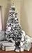 iPEGTOP Shatterproof Snowy Christmas Ball Ornaments - 24ct 60mm/2.4