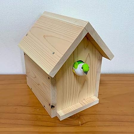 Amazon Co Jp 鳥の巣箱 夏休み 工作キット 文房具 オフィス用品