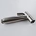 INTERIOR SOLUTIONS Toilet Bidet Handheld Sprayer Cloth Diaper Shattaf Stainless Steel Brushed S6001BN