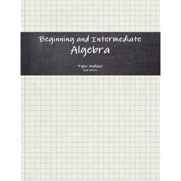 【美品】洋書　Serge Lang Algebra Undergraduate Algebra (Undergraduate Texts in Mathematics