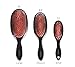 MISEL Professional Boar Bristle Hair Brush for Women and Men | Detangles All Natural Hair Types and Extensions | Reduces Breakage | Great for Wavy and Straight Hair | Salon-Approved | Small