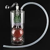 WATCHYOURNAME-8 Inch Clear Glass Oil Burner Can Be Filled with Water - Unique Fruit Pineapple Design (1)