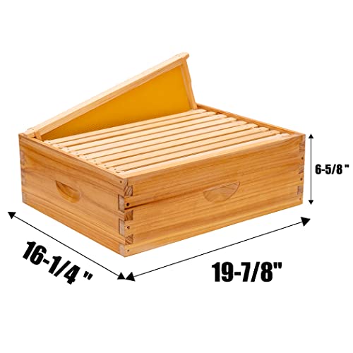 ThxBees 10 Frame Medium Super Box for Honey Bee Hives Beeswax Coated