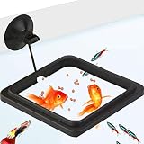 Betta Feeding Ring (4" inch), Practical Floating Food Square, Reduces Waste & Maintains Water Quality, Suitable for Flakes & Other Floating Fish Foods, for Guppy, Goldfish and Other Smaller Fish