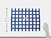 RaceQuip® 721025RQP Window Net 1 in Webbing - 18 x 24 in Rectangle - Blue